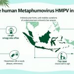 HMPV in Indonesia Symptoms, Causes, and Prevention